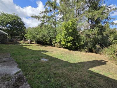 Picture 25